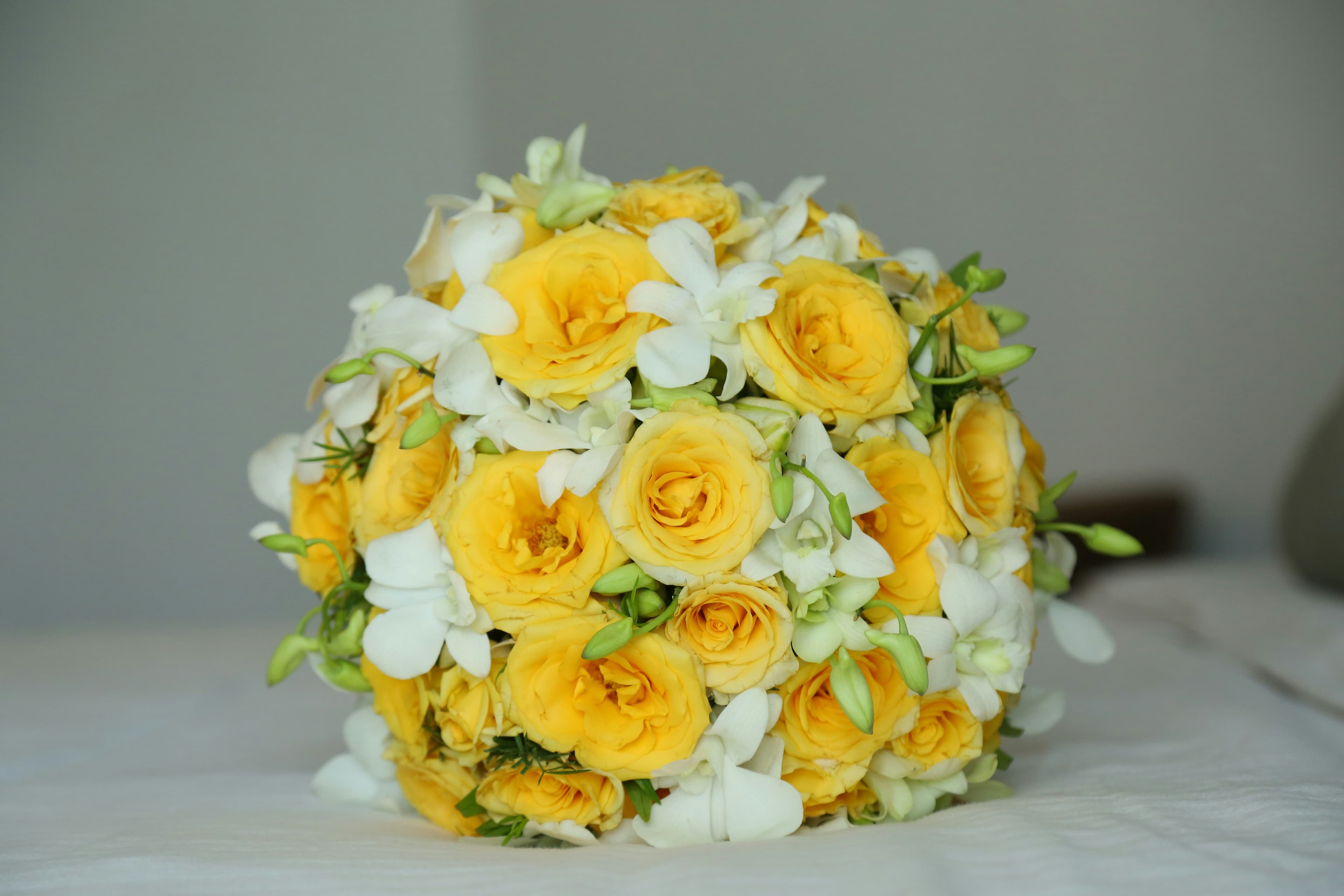 Beautiful floral arrangement background